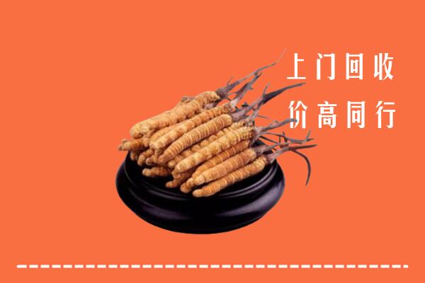 高价求购：重庆忠县回收散虫草