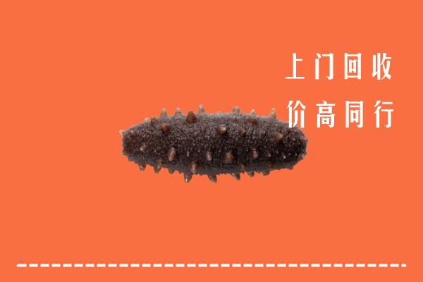 高价求购：重庆忠县回收海参