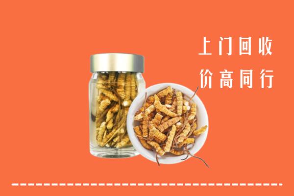 重庆忠县回收冬虫夏草